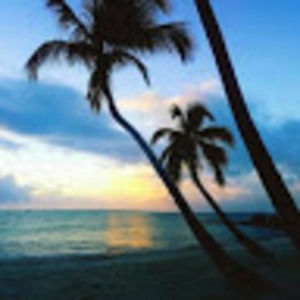 Meet your Posher, Bibi